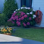 Bed and Breakfast Les Evens La Baule