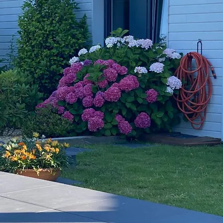 ベッド・アンド・ブレックファスト Les Evens La Baule