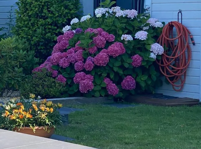 Couette-café Les Evens La Baule-Escoublac